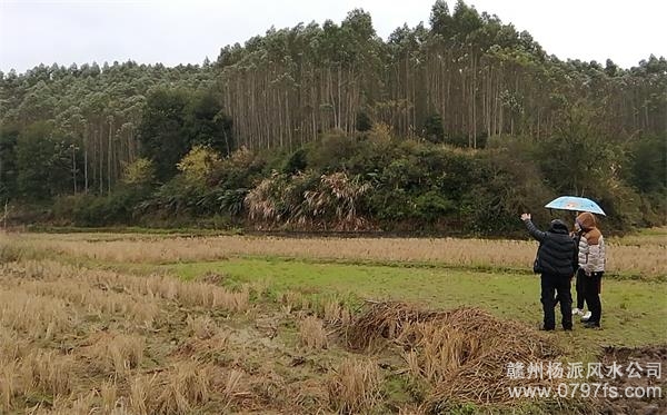 呼和浩特市陈老师带着爱徒寻龙点穴